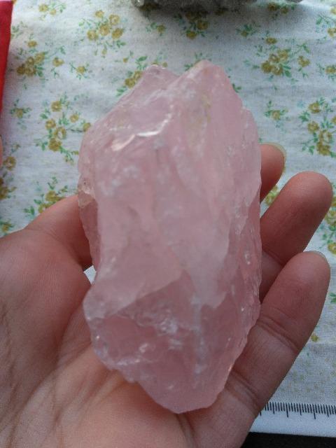 �V�R�΁@���[�Y�N�H�[�c���� �� �C���e���A/���C�t�� 