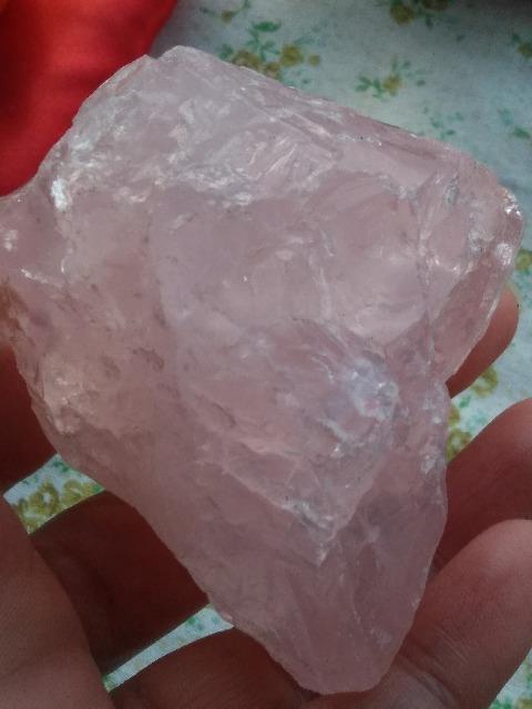 �V�R�΁@���[�Y�N�H�[�c���� �� �C���e���A/���C�t�� 