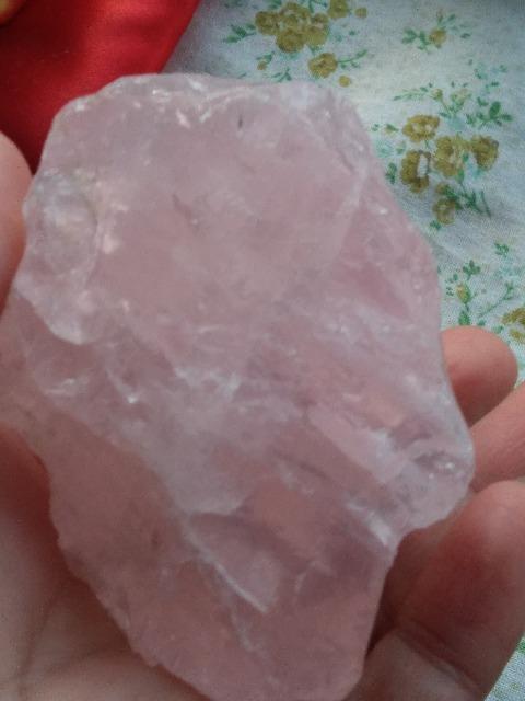 �V�R�΁@���[�Y�N�H�[�c���� �� �C���e���A/���C�t�� 