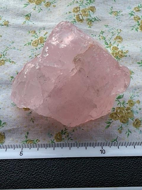 �V�R�΁@���[�Y�N�H�[�c���� �� �C���e���A/���C�t�� 