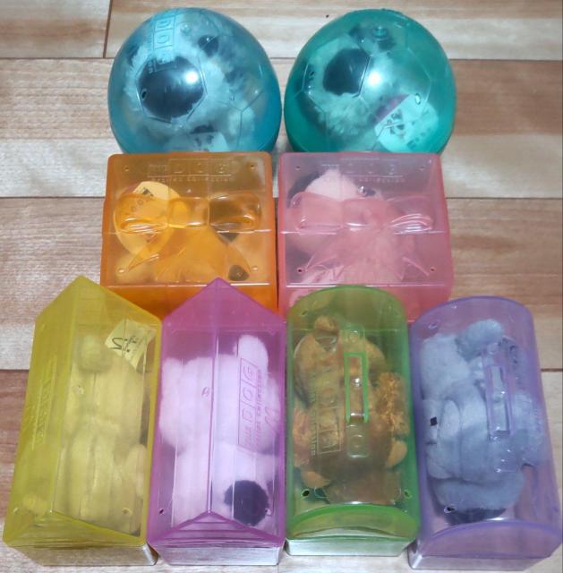 TheDOG}XRbglߍ킹܁I 