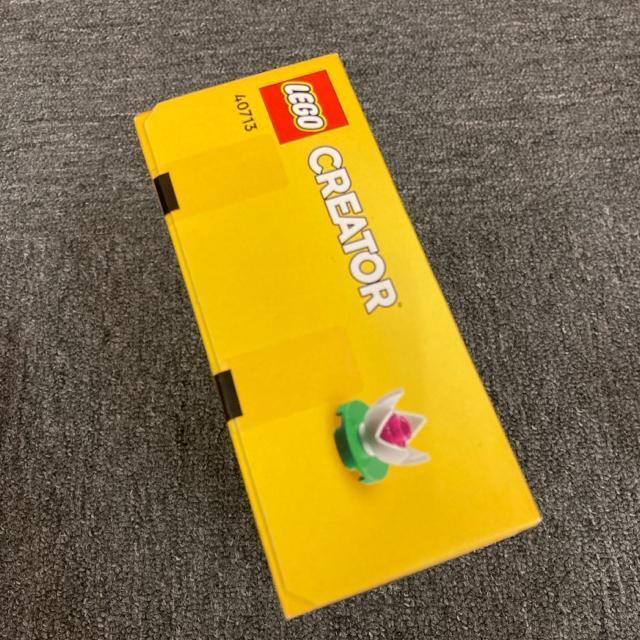���� �V�i ���J�� LEGO ���S CREATOR 40713 �� ��������� 