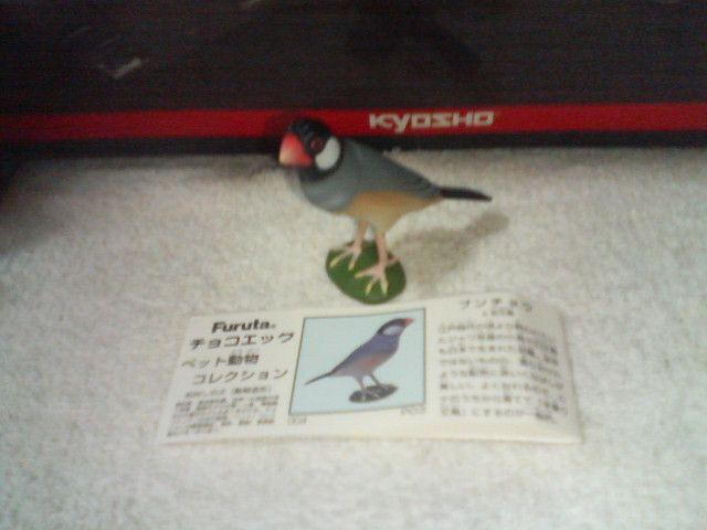 t^  ybg1  u`E  @@                 zr[ 