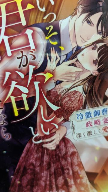 いっそ君が欲しいと言えたなら★玉紀直★ベリーズ文庫 < 本/雑誌 いっそ君が欲しいと言えたなら★玉紀直★ベリーズ文庫 < 本/雑誌の