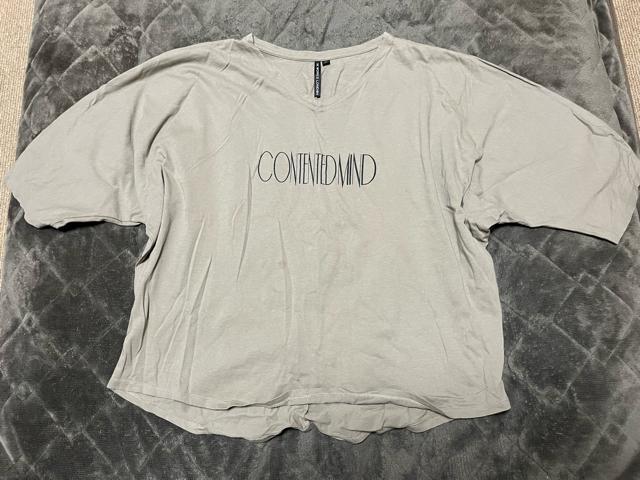 タンス整理品 衣類 おまとめOK ホームクリーニング済み レディース Tシャツ LLサイズ ブラウン < 女性ファッション  タンス整理品 衣類 おまとめOK ホームクリーニング済み レディース Tシャツ LLサイズ ブラウン  < 女性ファッションの