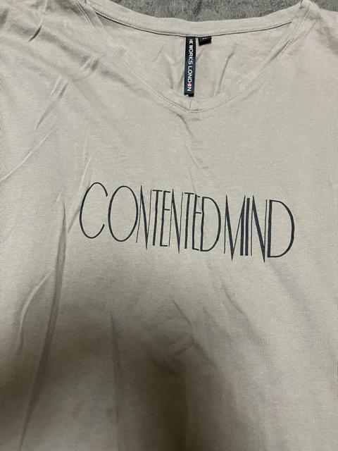 タンス整理品 衣類 おまとめOK ホームクリーニング済み レディース Tシャツ LLサイズ ブラウン < 女性ファッション  タンス整理品 衣類 おまとめOK ホームクリーニング済み レディース Tシャツ LLサイズ ブラウン < 女性ファッションの