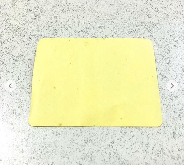 Sł̐n { ɔVLL V[ XebJ[ 聚۔ J[ ӂ肩 Ђ R{  CeA/Ct 