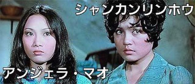 VHS☆馬路小英雄(裏通りのプリンセス)☆1973.サミエル ホイ☆デビュー作品☆オマケ付 < CD/DVD/ビデオ  VHS☆馬路小英雄(裏通りのプリンセス)☆1973.サミエル ホイ☆デビュー作品☆オマケ付 < CD/DVD/ビデオの