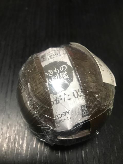 いきもの大図鑑 くわがた02 マンデイブラリスフタマタクワガタ 未開封 < ホビー  いきもの大図鑑 くわがた02 マンデイブラリスフタマタクワガタ 未開封  < ホビーの