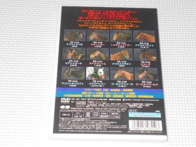 DVDTf[TCX iȂ錌 VOL.3 Sd܃A  CD/DVD/rfI 