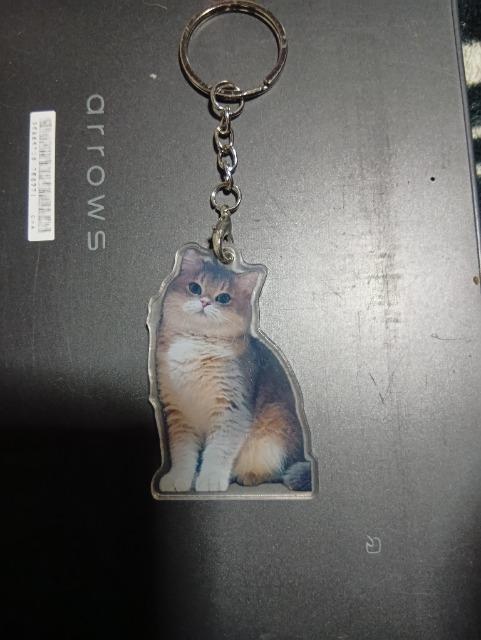 猫のキーホルダー < 女性ファッション  猫のキーホルダー < 女性ファッションの