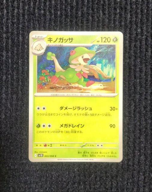 �L�m�K�b�T�@�|�P�����J�[�h�@���P�b�g�c�̉h��  �� �g���[�f�B���O�J�[�h�� 