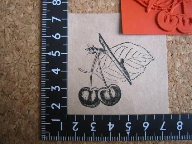 `F[ځ@TN{@A}Eg o[X^v   CeA/Ct 