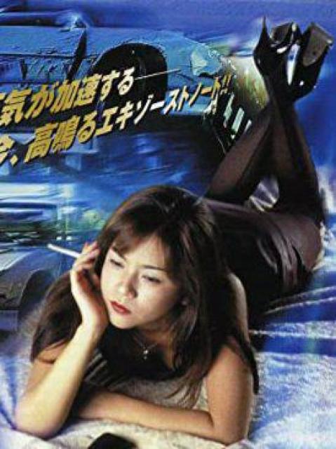 ☆新品未開封DVD ☆アクセル ☆杉浦幸☆ < CD/DVD/ビデオ  ☆新品未開封DVD ☆アクセル ☆杉浦幸☆ < CD/DVD/ビデオの