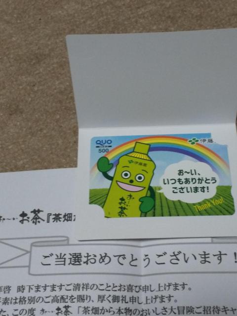 ɓIWiNIJ[h(500~)Ii   `Pbg/ 