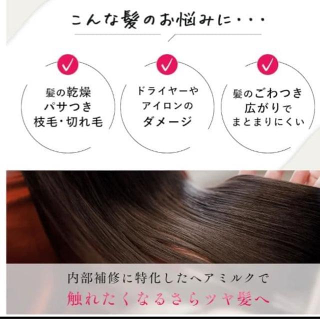 Ii I[KjbN wA~N AEgoX 􂢗Ȃg[gg  CeA/Ct 