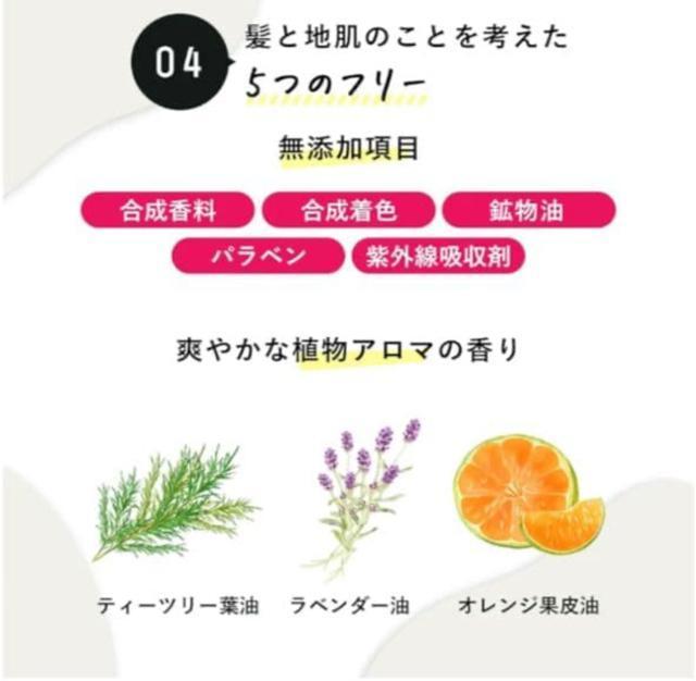 Ii I[KjbN wA~N AEgoX 􂢗Ȃg[gg  CeA/Ct 