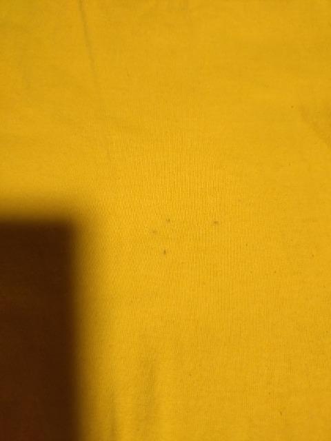 �쉎�@FINAL TOUR �P���R���T�[�g �s�V���c �� �^�����g�O�b�Y�� 