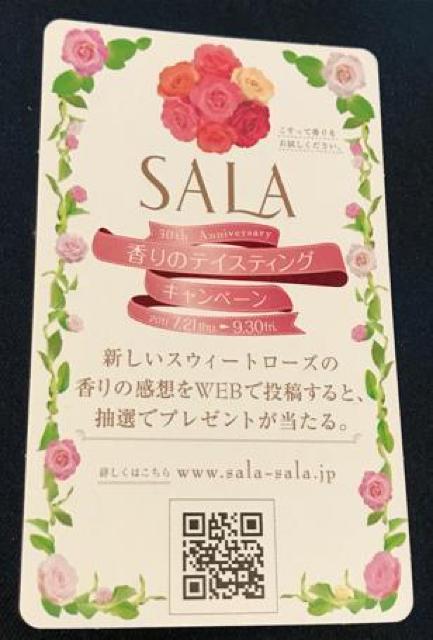 〇 北川景子 カード120枚「SALA」 < タレントグッズ  〇 北川景子 カード120枚「SALA」 < タレントグッズの