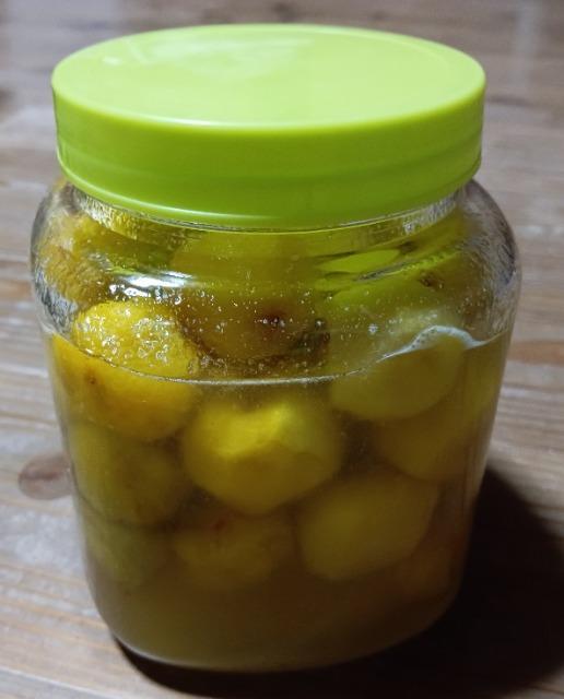 �����A�V�R�~�̖؂̎�R���{���S���S�����z���ł��_(^o^)�^ �� �y�b�g/��|/���|�� 