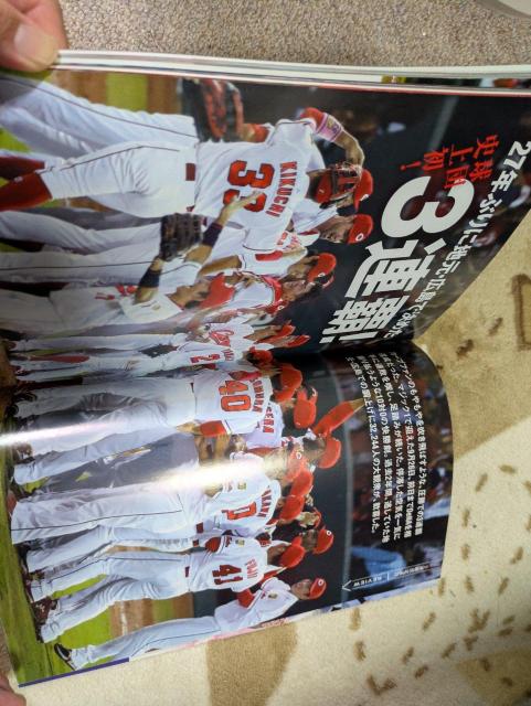 ☆「広島カープ三連覇 27年ぶり地元V プロ野球2018シーズン総括BOOK」☆ < 本/雑誌 ☆「広島カープ三連覇 27年ぶり地元V プロ野球2018シーズン総括BOOK」☆ < 本/雑誌の