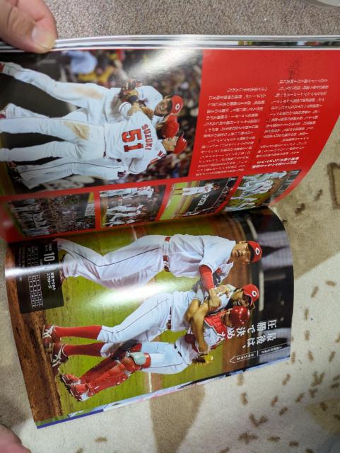 ☆「広島カープ三連覇 27年ぶり地元V プロ野球2018シーズン総括BOOK」☆ < 本/雑誌 ☆「広島カープ三連覇 27年ぶり地元V プロ野球2018シーズン総括BOOK」☆ < 本/雑誌の