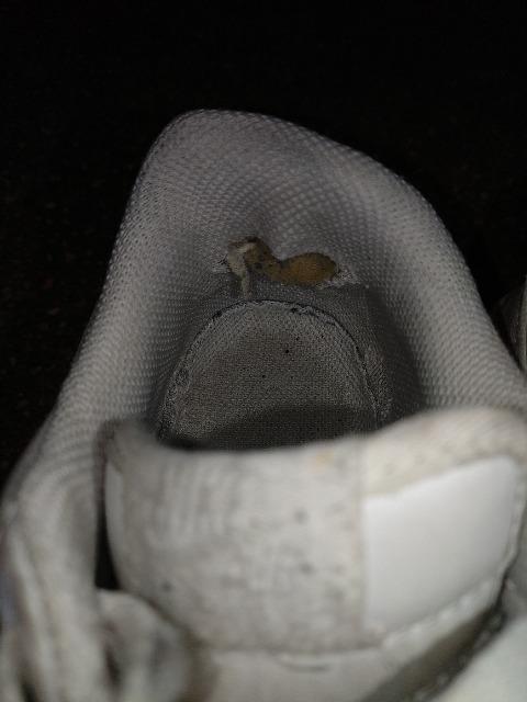 NIKE   AIRMAX  Xj[J[  GA}bNX  iCL    QS.Tcm  WNi  uh 