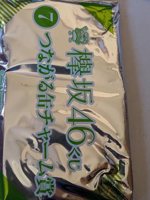 �O��46�����i�i�Z�b�g �� �z�r�[�� 