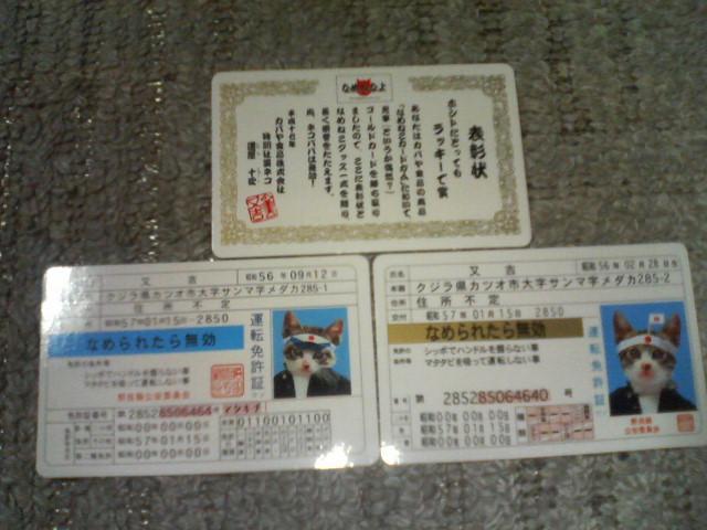 �g���J �Ȃ߂˂��J�[�h�K��1�e  �\����1 ���A�J�[�h2 �m�[�}���J�[�h18 �S21���Z�b�g  �� �g���[�f�B���O�J�[�h�� 