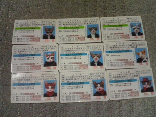 �g���J �Ȃ߂˂��J�[�h�K��1�e  �\����1 ���A�J�[�h2 �m�[�}���J�[�h18 �S21���Z�b�g �� �g���[�f�B���O�J�[�h�� 