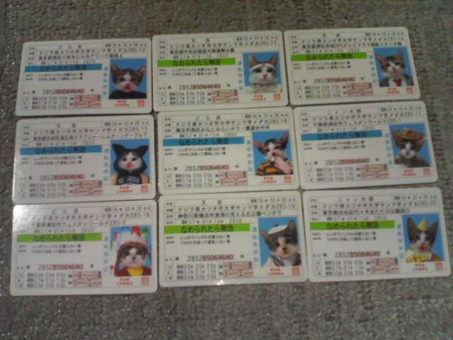 �g���J �Ȃ߂˂��J�[�h�K��1�e  �\����1 ���A�J�[�h2 �m�[�}���J�[�h18 �S21���Z�b�g �� �g���[�f�B���O�J�[�h�� 