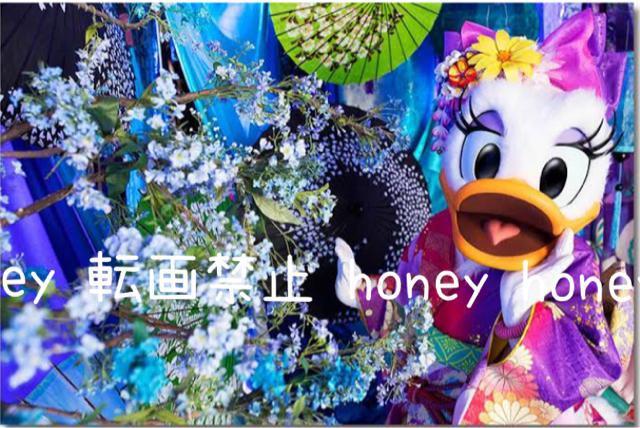 送料無料●限定コラボ●蜷川実花×Disneyディズニー●折りたたみミラー 鏡 手鏡●ディジー●フラワー花●青ブルー < アニメ/コミック/キャラクター  送料無料●限定コラボ●蜷川実花×Disneyディズニー●折りたたみミラー 鏡 手鏡●ディジー●フラワー花●青ブルー < アニメ/コミック/キャラクターの