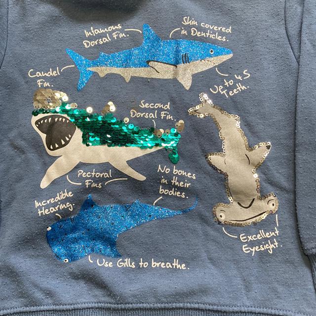 H&M p[J[@u[@T@110cm  uh 