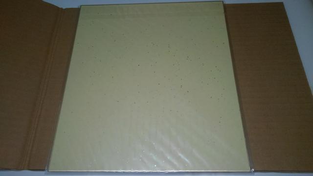 ぱにぽに 非売品 限定 色紙 Sランク < ホビー  ぱにぽに 非売品 限定 色紙 Sランク < ホビーの