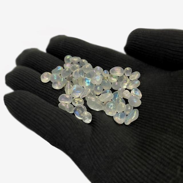 [Xg[ KX (E) 20g  t@bV 