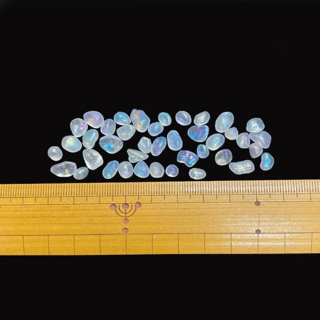 [Xg[ KX (E) 20g  t@bV 