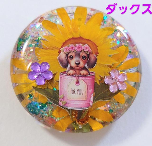 ダックスフンドちゃんドライフラワーレジンアクセサリー☆  ミニチュアダックスフンド   ダックスフンド   ダックスフンドヘアゴム < 女性ファッション  ダックスフンドちゃんドライフラワーレジンアクセサリー☆  ミニチュアダックスフンド   ダックスフンド   ダックスフンドヘアゴム  < 女性ファッションの