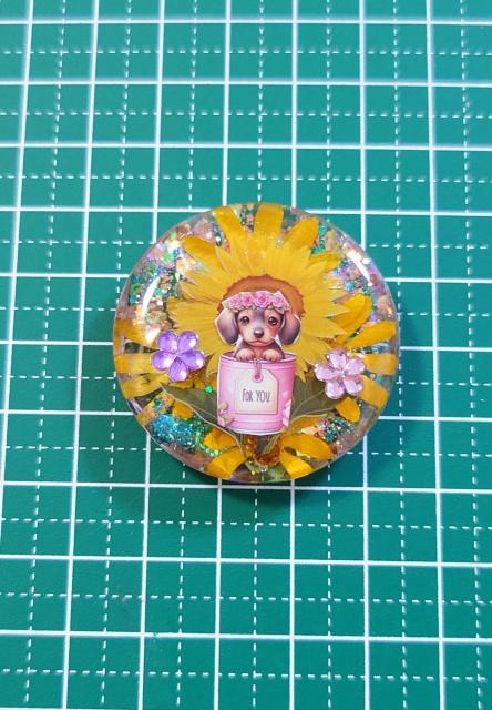 ダックスフンドちゃんドライフラワーレジンアクセサリー☆  ミニチュアダックスフンド   ダックスフンド   ダックスフンドヘアゴム < 女性ファッション  ダックスフンドちゃんドライフラワーレジンアクセサリー☆  ミニチュアダックスフンド   ダックスフンド   ダックスフンドヘアゴム < 女性ファッションの