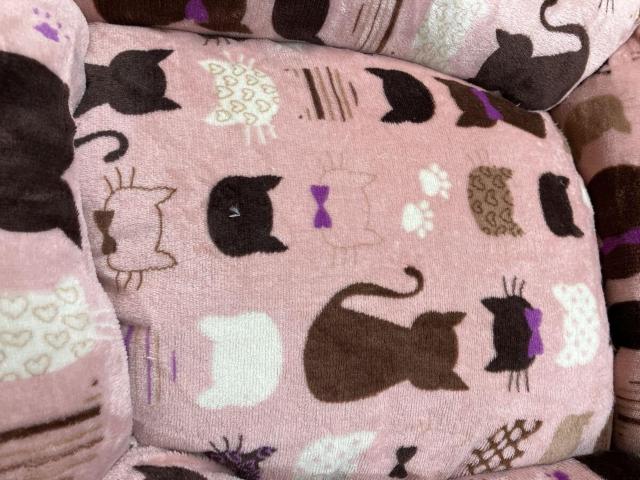 tlfނŒgď_炩I񁕃lRсITCY XNGAybgxbh(Aj})P  ybg/|/| 