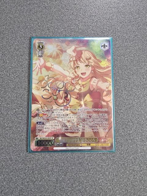 ���@�C�X�V�����@���c �c����͗��w�� ���������� SP  �� �g���[�f�B���O�J�[�h�� 