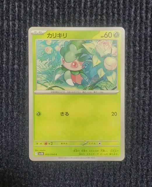 �J���L���@�|�P�����J�[�h�@���P�b�g�c�̉h��  �� �g���[�f�B���O�J�[�h�� 