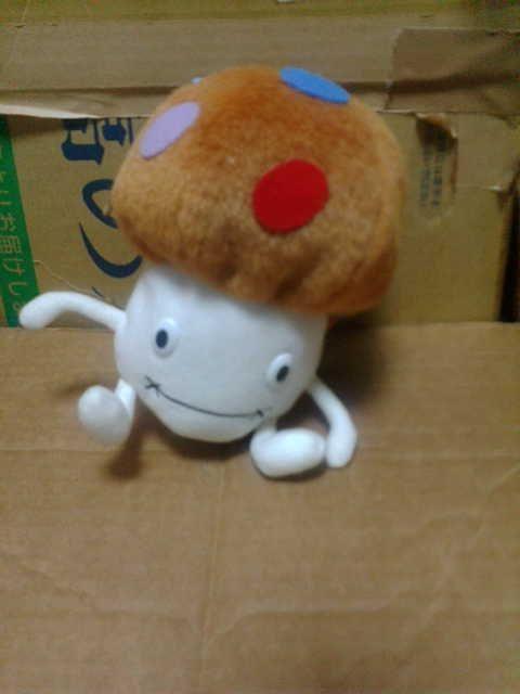 ドコモダケぬいぐるみポーチ < おもちゃ  ドコモダケぬいぐるみポーチ  < おもちゃの