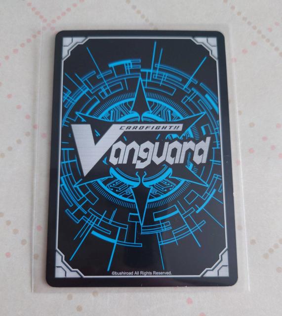 �J�[�h�t�@�C�g�I�I���@���K�[�h ������ݎ��ω� �A���N �m�[�}��EB06/028 C 858