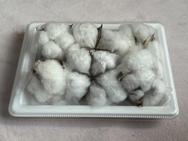 �ȉ� �R�b�g���t�����[ �� 6�� �z���C�g�R�b�g���̃h���C�t�����[�@��t�� �� �y�b�g/��|/���|�� 