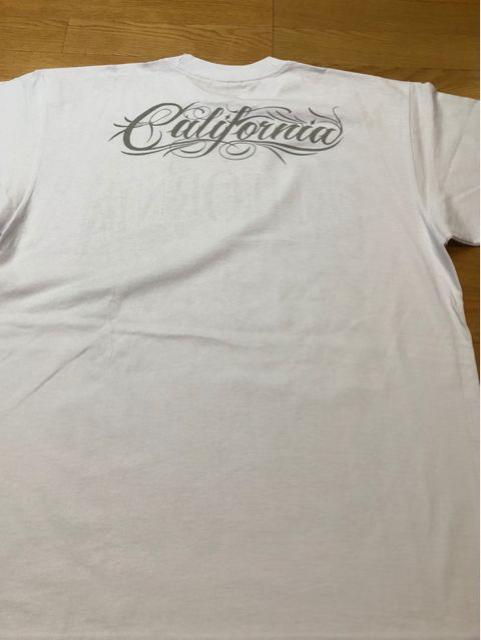LAA  CALIFORNIA     傫sizeXL    P1  jt@bV 