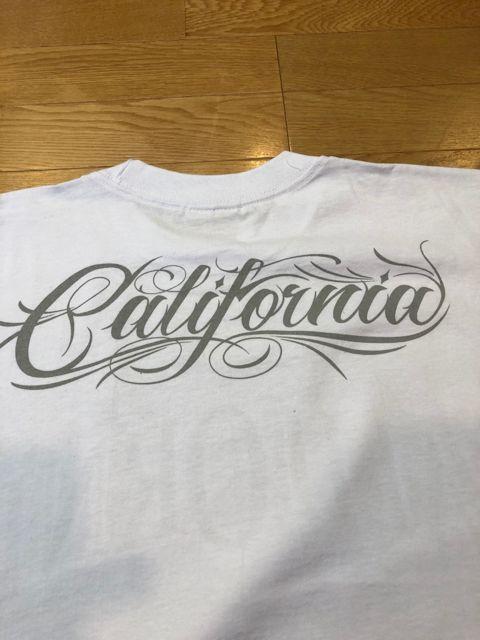 LAA  CALIFORNIA     傫sizeXL    P1  jt@bV 