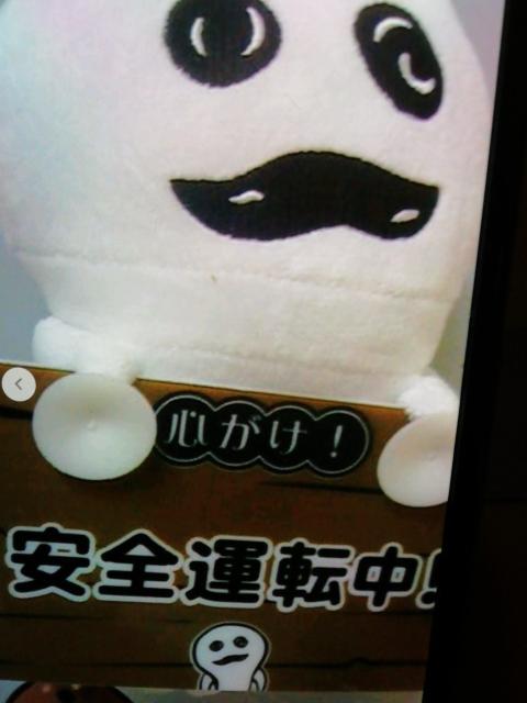 オさわり探偵なメこ栽培キットめっせーじますこっと < おもちゃ  オさわり探偵なメこ栽培キットめっせーじますこっと < おもちゃの