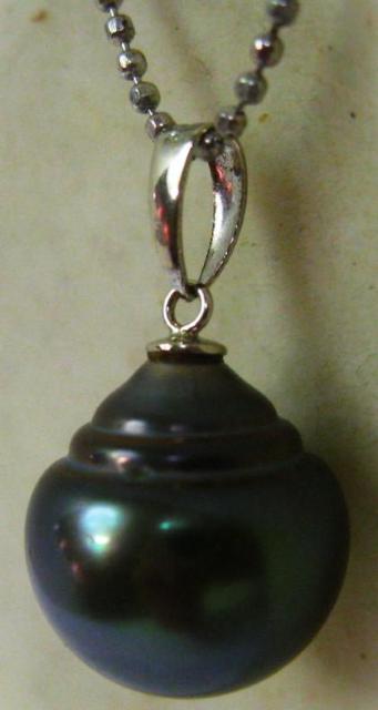 y_g K14WG 14zCgS[h ubNp[ ^ 12~  ANZT[/v 