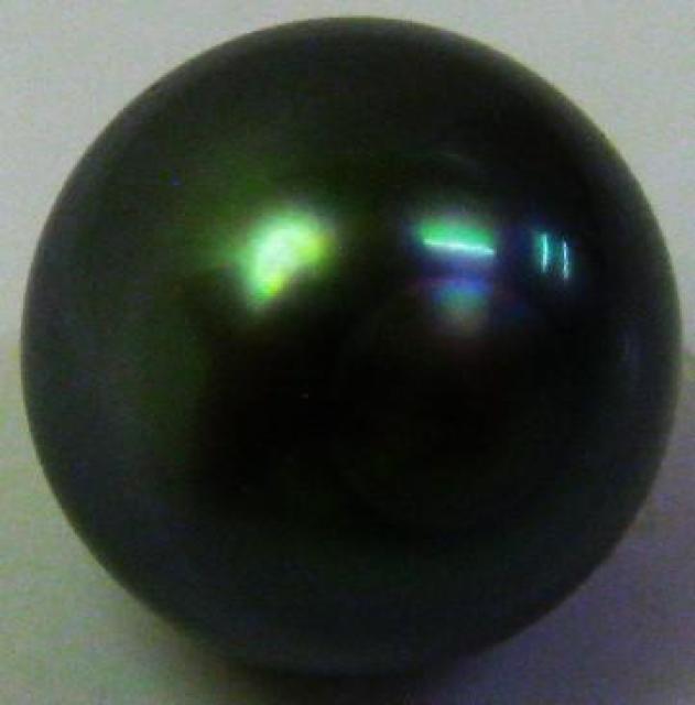 y_g K14WG 14zCgS[h ubNp[ ^ 12~  ANZT[/v 