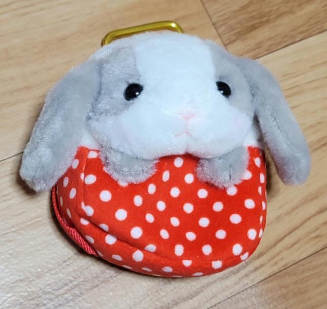 ۂĂҁ[|[`(bh)   t@bV 